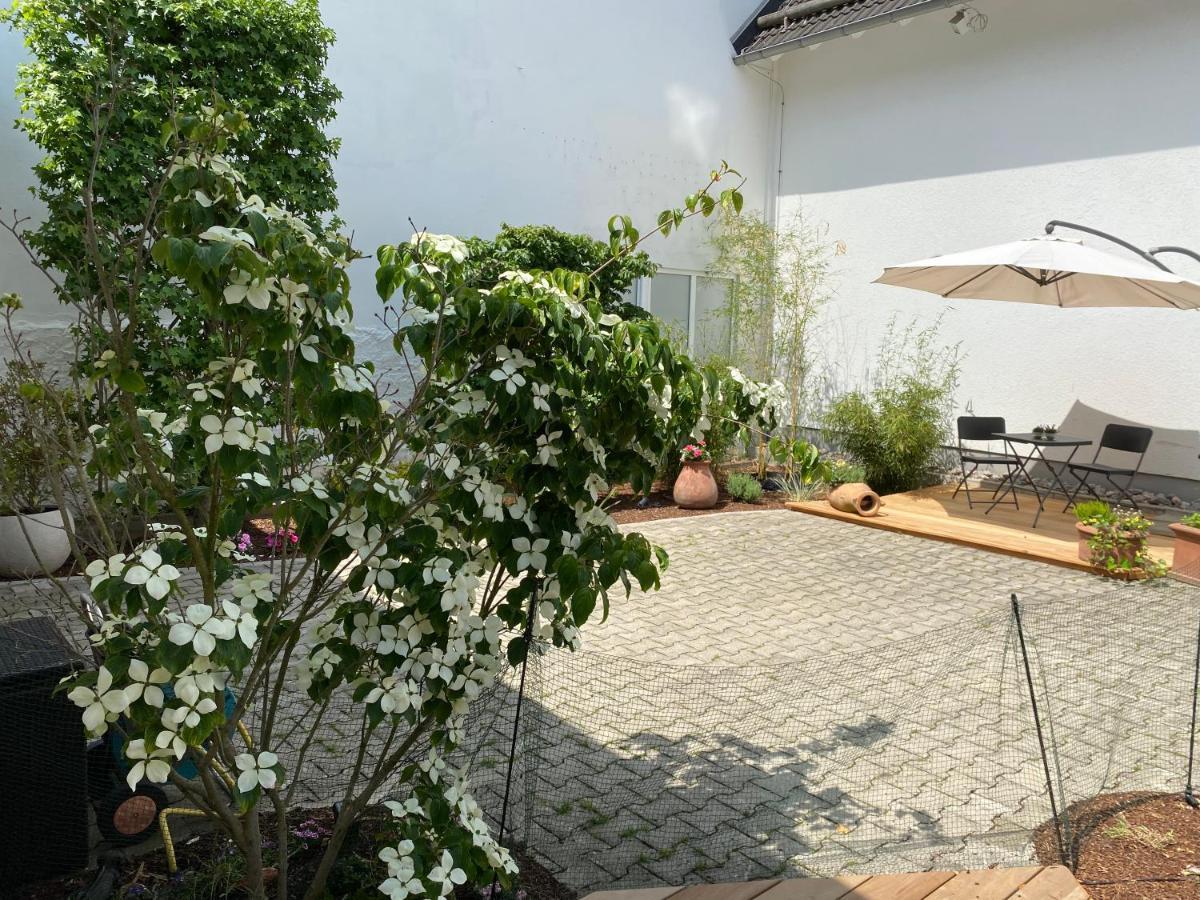 Altstadtjuwel @Conny'S Brilon Ngoại thất bức ảnh